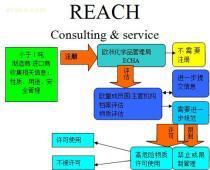 【REACH注冊,reach預(yù)注冊】,價(jià)格,報(bào)價(jià),種類、品牌,廠家,供應(yīng)商,杭州尚德檢測技術(shù)服務(wù) - 產(chǎn)品庫 - 阿土伯交易網(wǎng)
