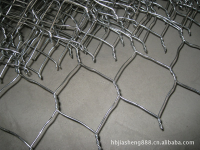 PVC鍍鋅包塑鉛絲籠 價格、廠家與產(chǎn)品深度解析