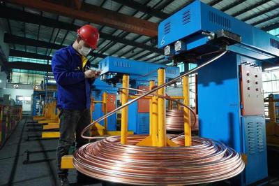 頭雁領航，雁陣齊飛 上海金山“光電傳輸谷”驅動金屬制品產業集群提級增效